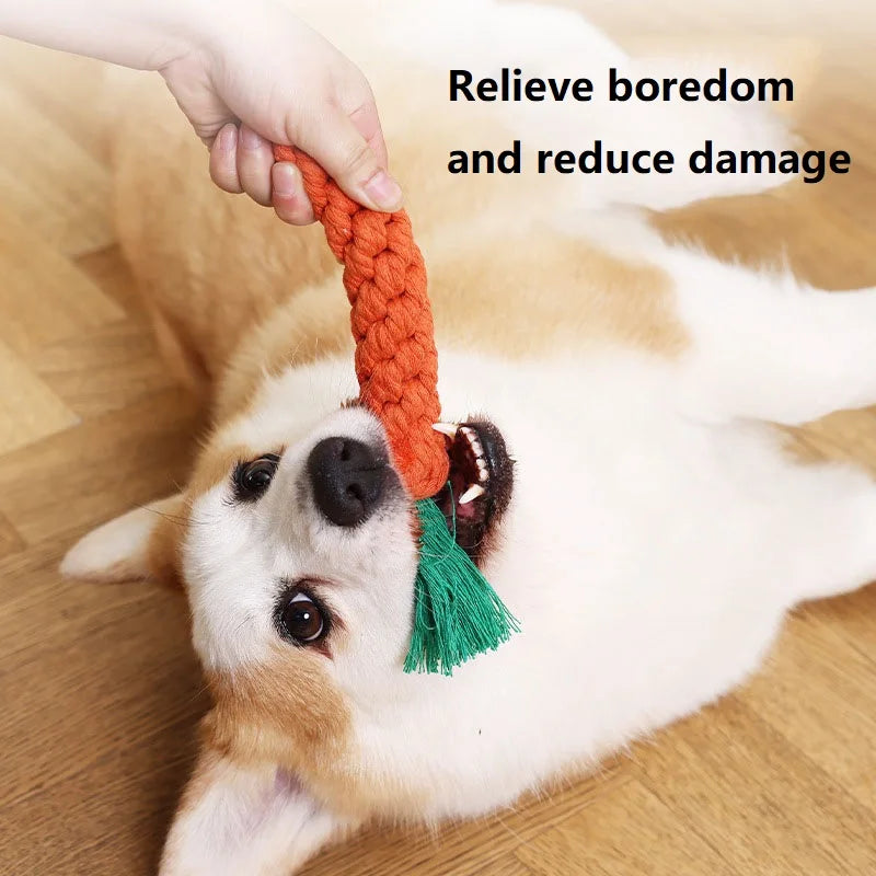 Plush Carrot Dog Toy with Squeaker - Interactive Chew Toy for Small Dogs & Puppies