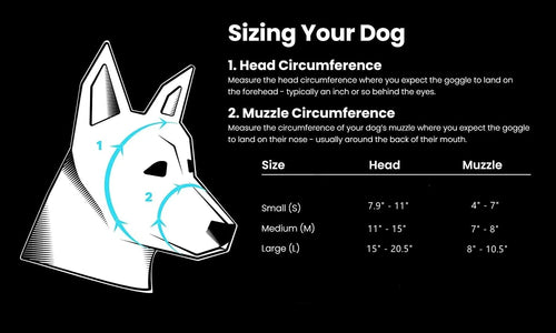 Dog Goggles Anti UV Strong Impact Resistance Adjustable Elastic Puppy Large Breed Dog Goggles Breathable Pet Sunglasses