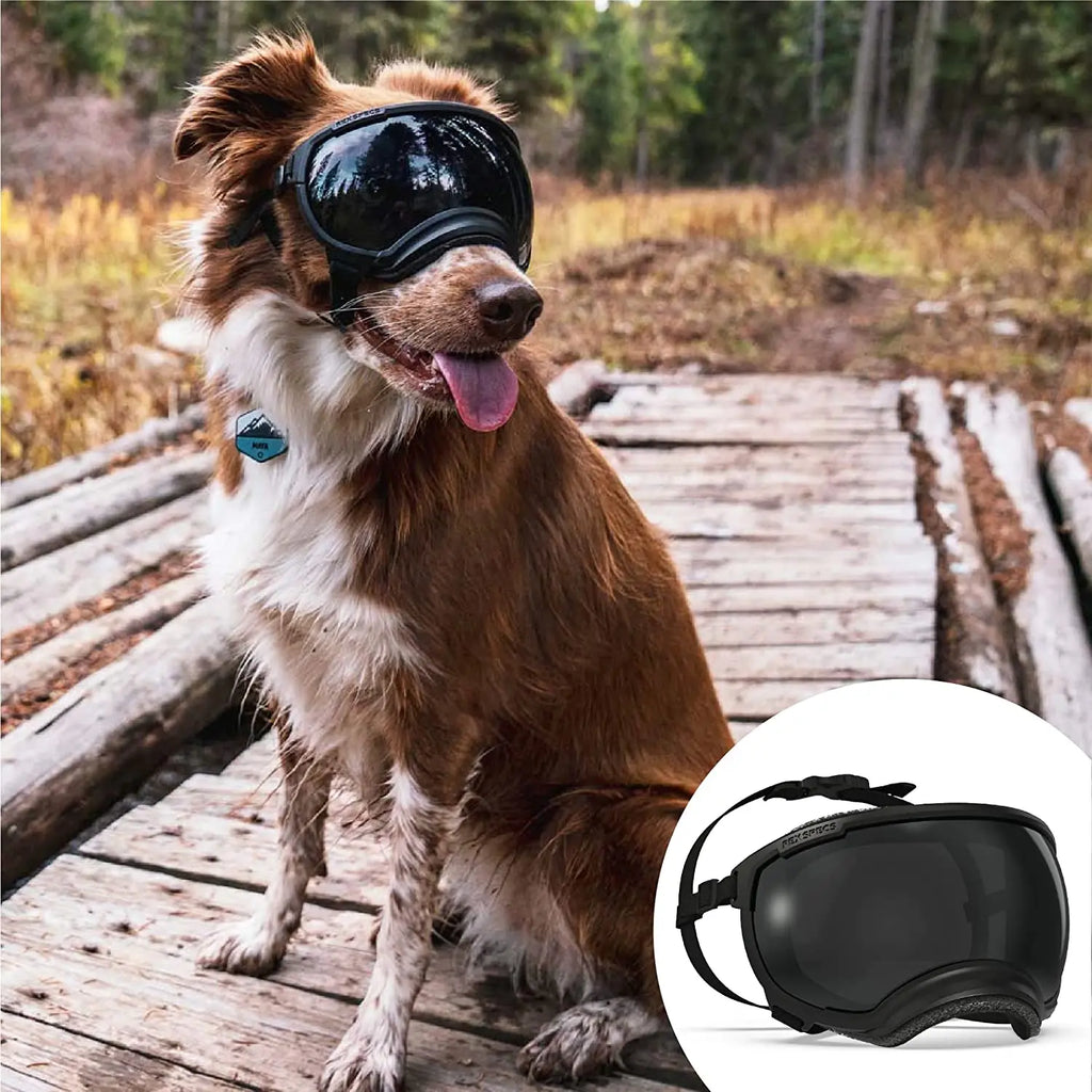 Dog Goggles Anti UV Strong Impact Resistance Adjustable Elastic Puppy Large Breed Dog Goggles Breathable Pet Sunglasses