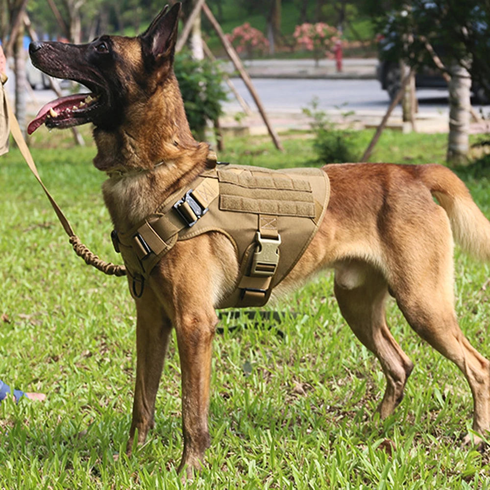 Tactical Dog Harness & Leash Set - Military Style for Large Dogs, German Shepherd & Malinois Training/Walking