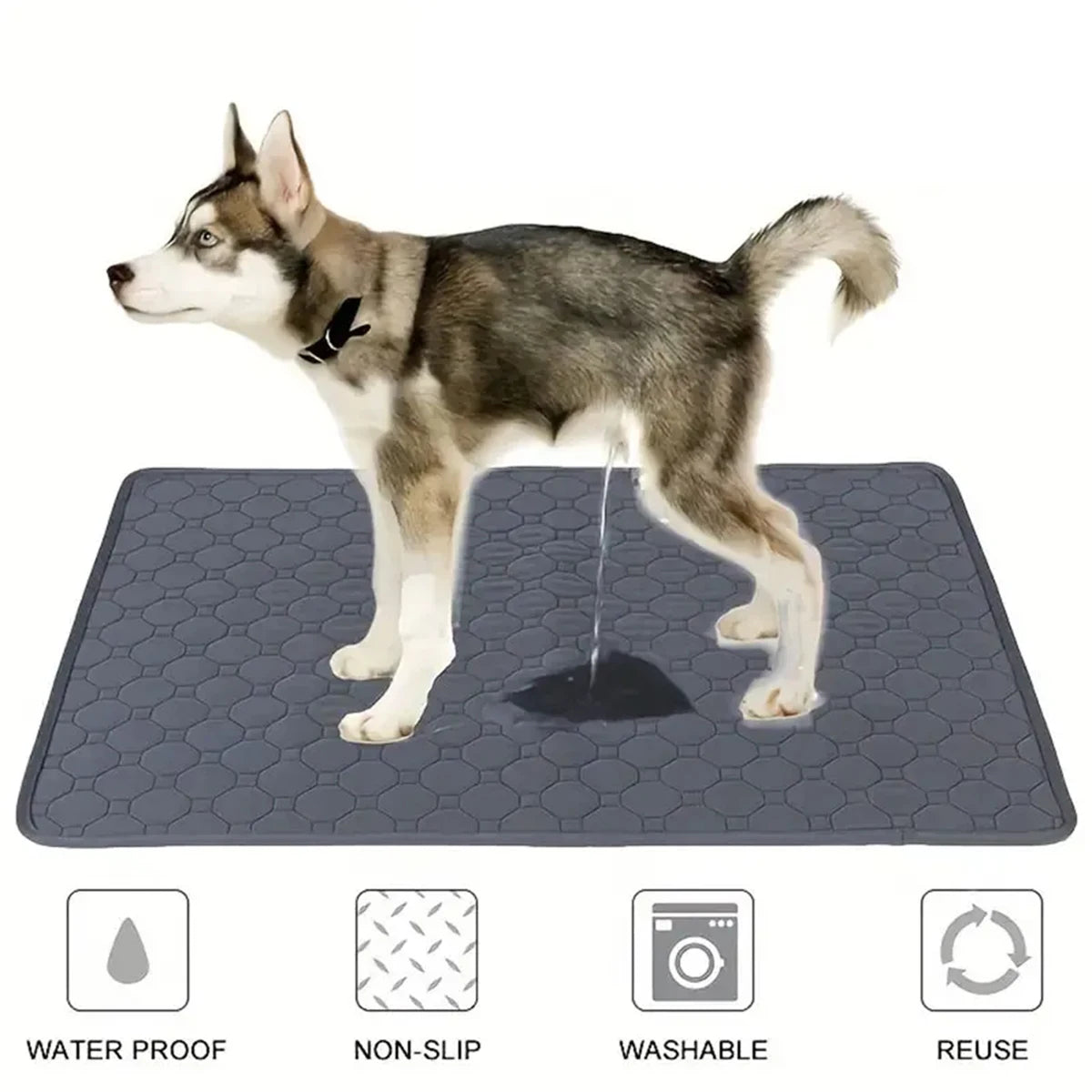 Reusable Washable Pee Pad for Dogs & Cats - Waterproof Absorbent Urine Mat (35×50 to 70×100 cm, 6 Colors)